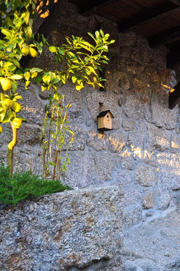 Quinta Das Bollotas Villa Fafe Eksteriør billede