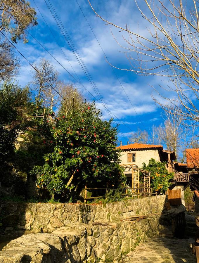 Quinta Das Bollotas Villa Fafe Eksteriør billede