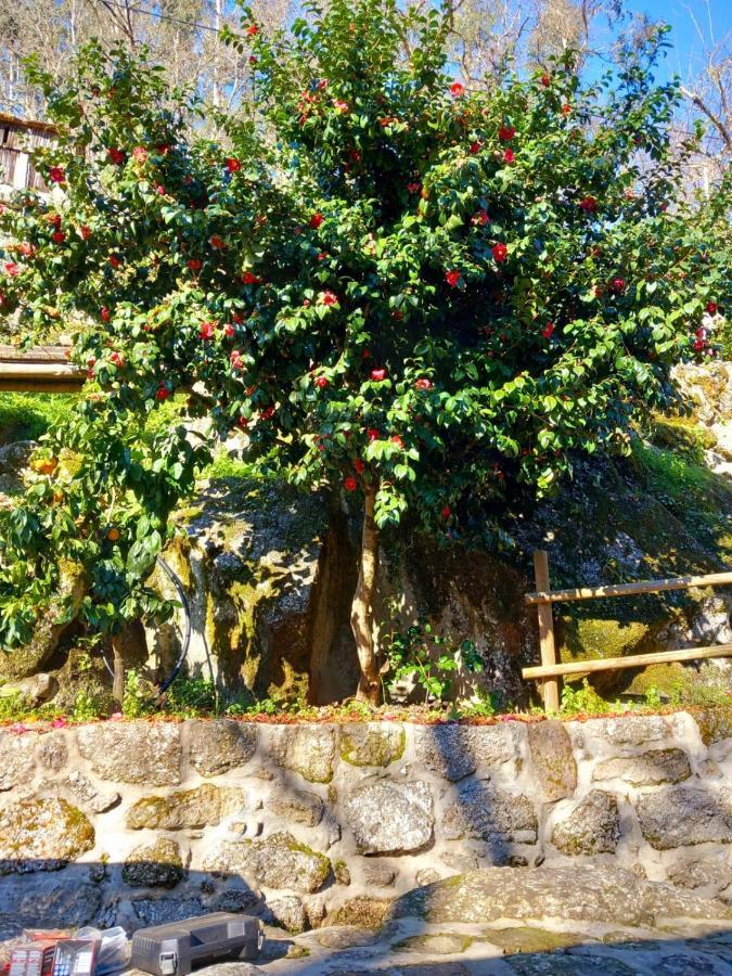 Quinta Das Bollotas Villa Fafe Eksteriør billede